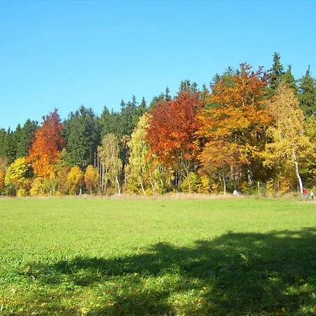 Am Wald * Olbernhau